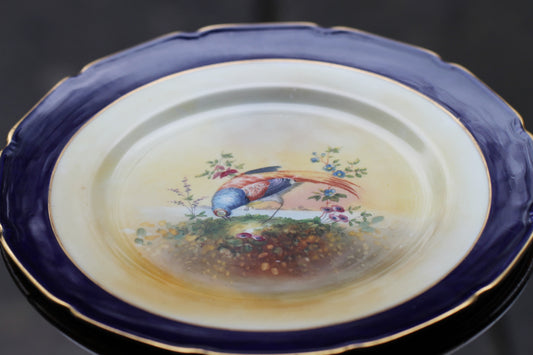 Royal Doulton Bird of Paradise Floral Plate hand painted by E.Percy c1922/27