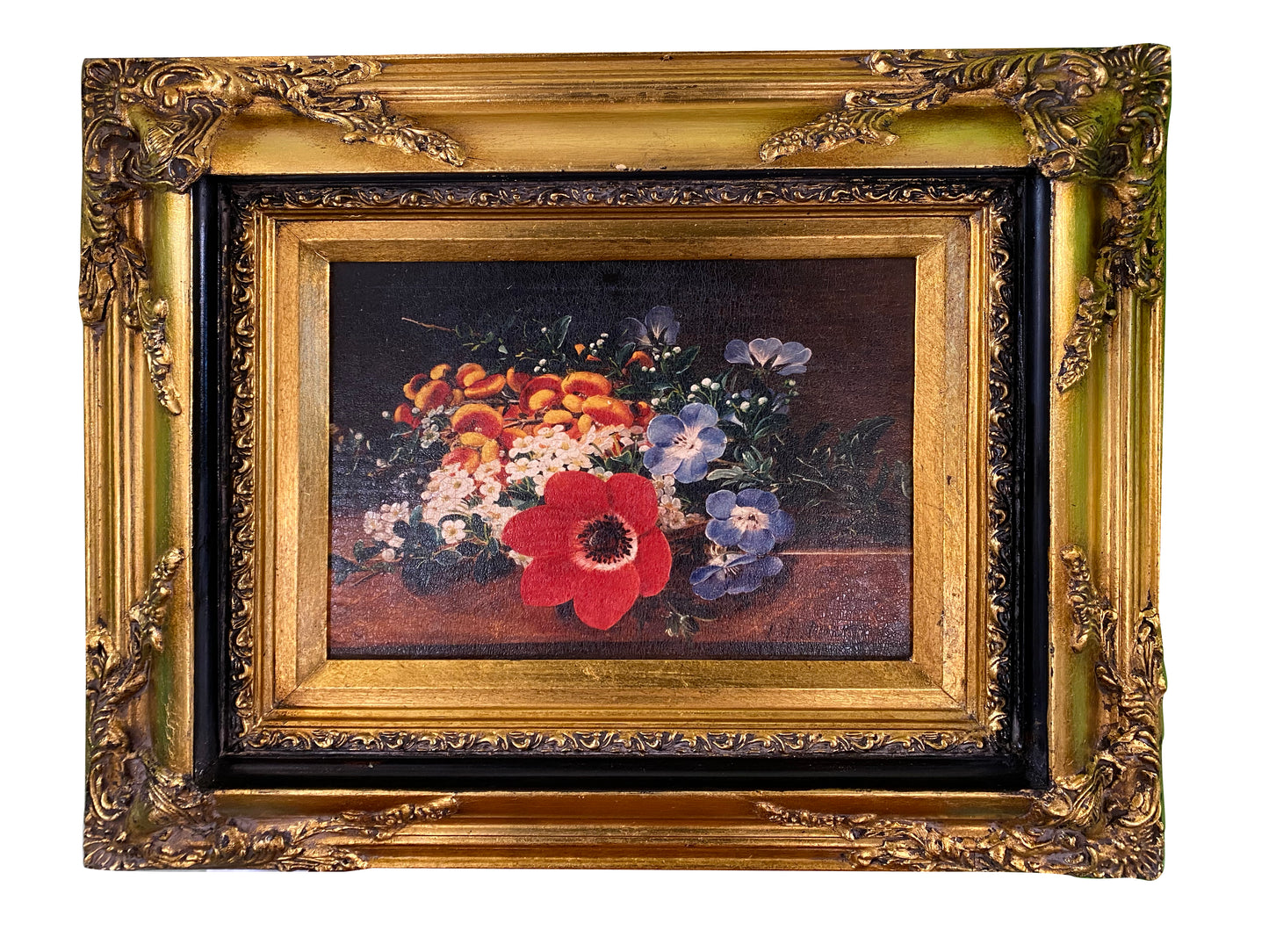 Oleograph Limited Edition Gilt Framed vintage Floral Study with Anemone